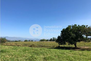 Lote de Terreno en  Palestina, Caldas