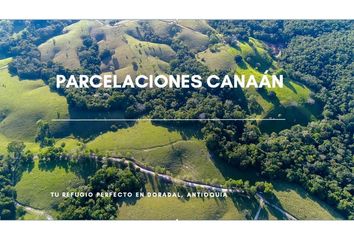 Lote de Terreno en  Puerto Triunfo, Antioquia