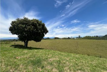 Lote de Terreno en  Los Corales, Pereira