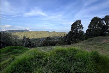 Lote de Terreno en  Conquistadores, Medellín