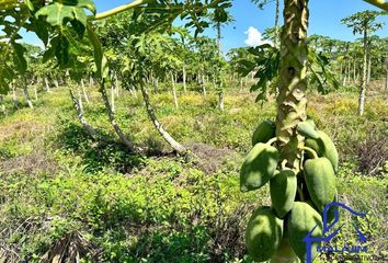 Lote de Terreno en  Carretera Salvador Urbina - Julián Grajales, Chiapa De Corzo, Chiapas, 29178, Mex