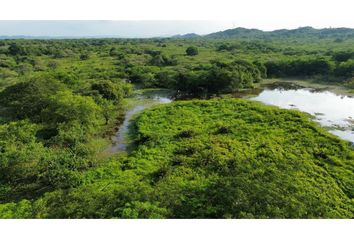 Lote de Terreno en  Centro Norte, Norte, Villavicencio