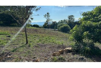 Lote de Terreno en  Campoalegre, El Cerrito Valle Del Cauca