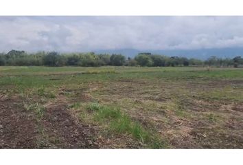 Lote de Terreno en  Campoalegre, El Cerrito Valle Del Cauca