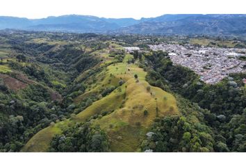 Villa-Quinta en  Circasia, Quindío