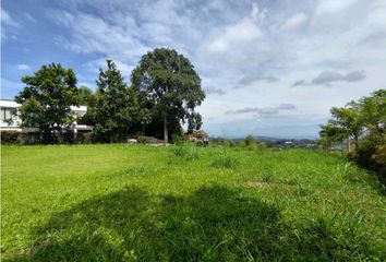 Lote de Terreno en  Centro, Pereira