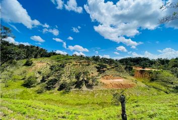 Lote de Terreno en  Sonsón, Antioquia