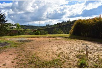 Lote de Terreno en  Rionegro Antioquía