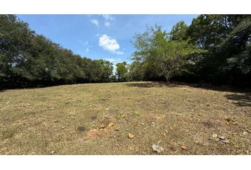 Lote de Terreno en  Porterillo, Palmira