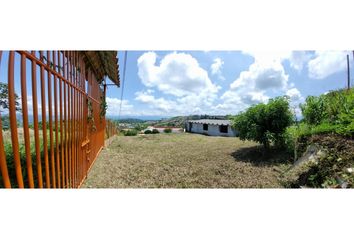 Lote de Terreno en  Palestina, Caldas