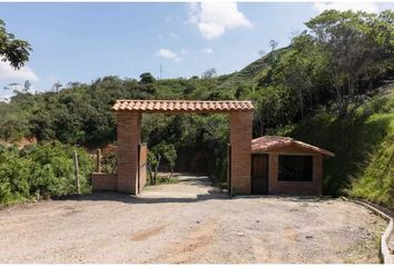 Lote de Terreno en  Cisneros, Antioquia