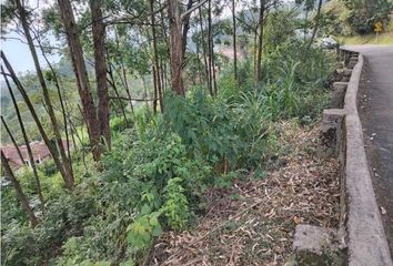 Lote de Terreno en  La Palma, Medellín