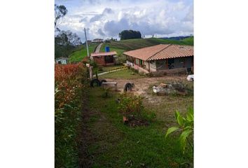 Lote de Terreno en  Santa Rosa De Osos, Antioquia