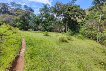 Lote de Terreno en  San Rafael, Antioquia