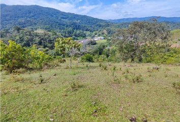 Lote de Terreno en  San Rafael, Antioquia