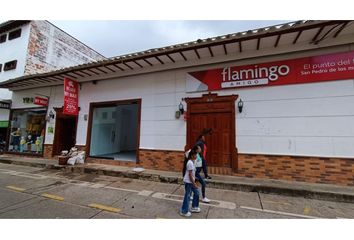 Local Comercial en  San Pedro De Los Milagros, Antioquia