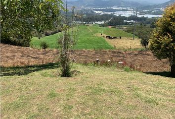 Lote de Terreno en  La Ceja, Antioquia