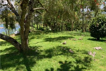 Lote de Terreno en  La Ceja, Antioquia