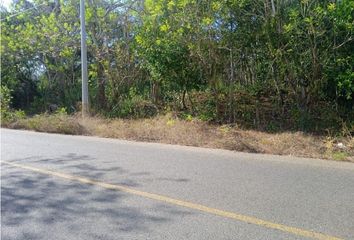 Lote de Terreno en  Barú, Cartagena De Indias