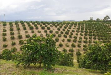 Villa-Quinta en  Mundo Nuevo, Pereira