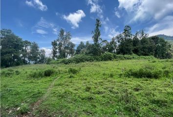 Lote de Terreno en  Amanalco, Estado De México