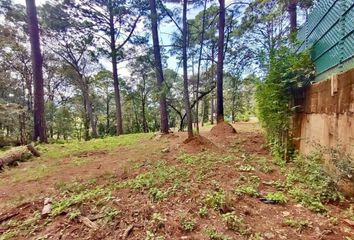 Lote de Terreno en  Avándaro, Valle De Bravo