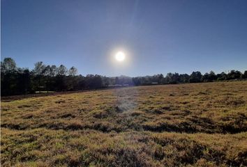 Lote de Terreno en  Avándaro, Valle De Bravo