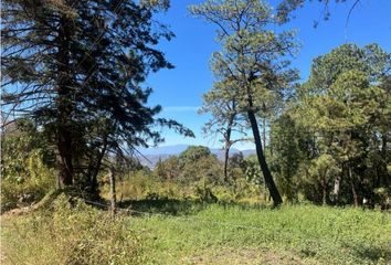 Lote de Terreno en  Avándaro, Valle De Bravo