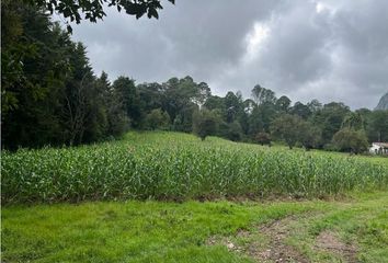 Lote de Terreno en  Avándaro, Valle De Bravo