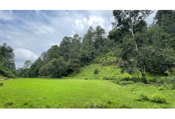 Lote de Terreno en  Valle De Bravo, Valle De Bravo