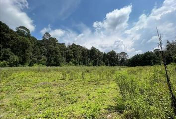 Lote de Terreno en  Amanalco, Estado De México