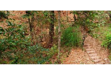 Lote de Terreno en  Santa María Ahuacatlan, Valle De Bravo