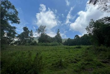 Lote de Terreno en  Amanalco, Estado De México