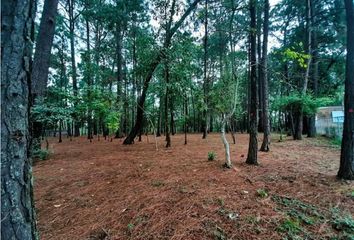 Lote de Terreno en  Avándaro, Valle De Bravo