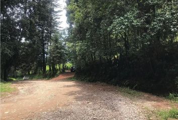 Lote de Terreno en  Valle De Bravo, Valle De Bravo