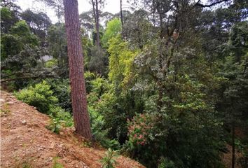 Lote de Terreno en  Avándaro, Valle De Bravo