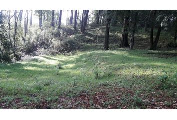 Lote de Terreno en  Avándaro, Valle De Bravo