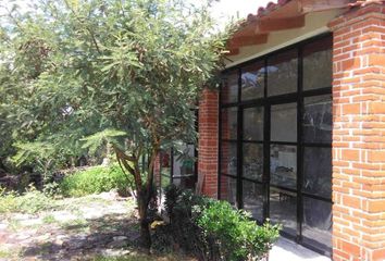 Lote de Terreno en  Carretera San Gregorio - Oaxtepec, Colonia Corral Grande, Tlayacapan, Morelos, 62544, Mex