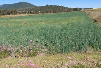 Lote de Terreno en  Parador Sequoia, Jilotepec, México, Mex