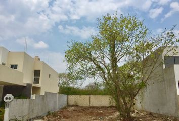 Lote de Terreno en  Calle 20 109, Conkal, Yucatán, 97345, Mex