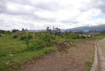 Terreno Comercial en  Pifo, Quito