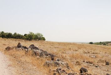 Terreno en  Campo De Criptana, Ciudad Real Provincia