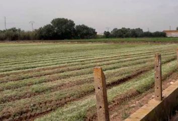 Terreno en  Campanar, Valencia, Valencia/valència