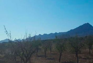 Terreno en  Fuente Alamo, Murcia Provincia