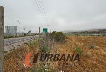 Parcela en  La Serena, Elqui