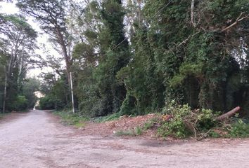 Terrenos en  Bosque Peralta Ramos, Mar Del Plata