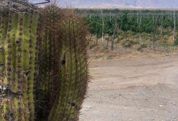 Terrenos en  Cafayate, Salta