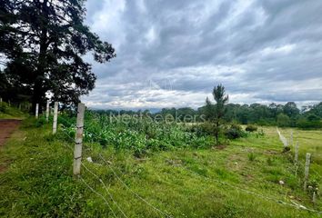 Lote de Terreno en  51046, Donato Guerra, México, Mex