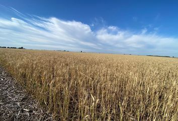 Terrenos en  La Emilia, Partido De San Nicolás