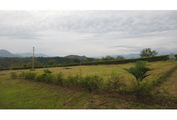 Lote de Terreno en  Manizales, Caldas